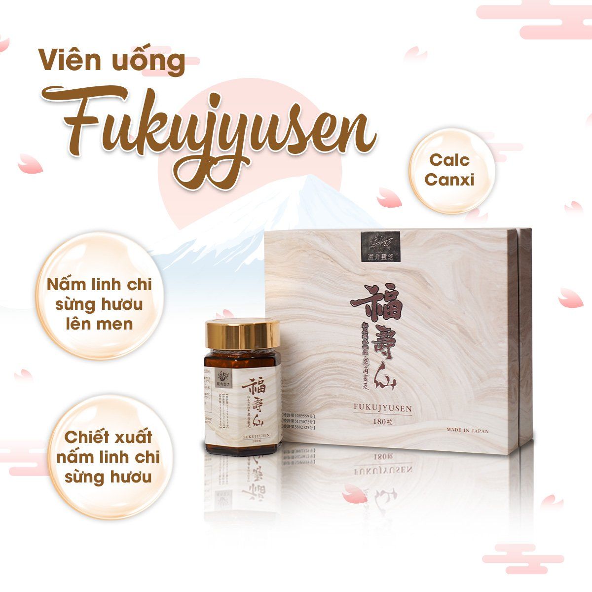Viên uống hỗ trợ điều trị ung thư, tăng cường hệ miễn dịch Ribeto Shoji Fukujyusen (180 viên) - Hình ảnh 5