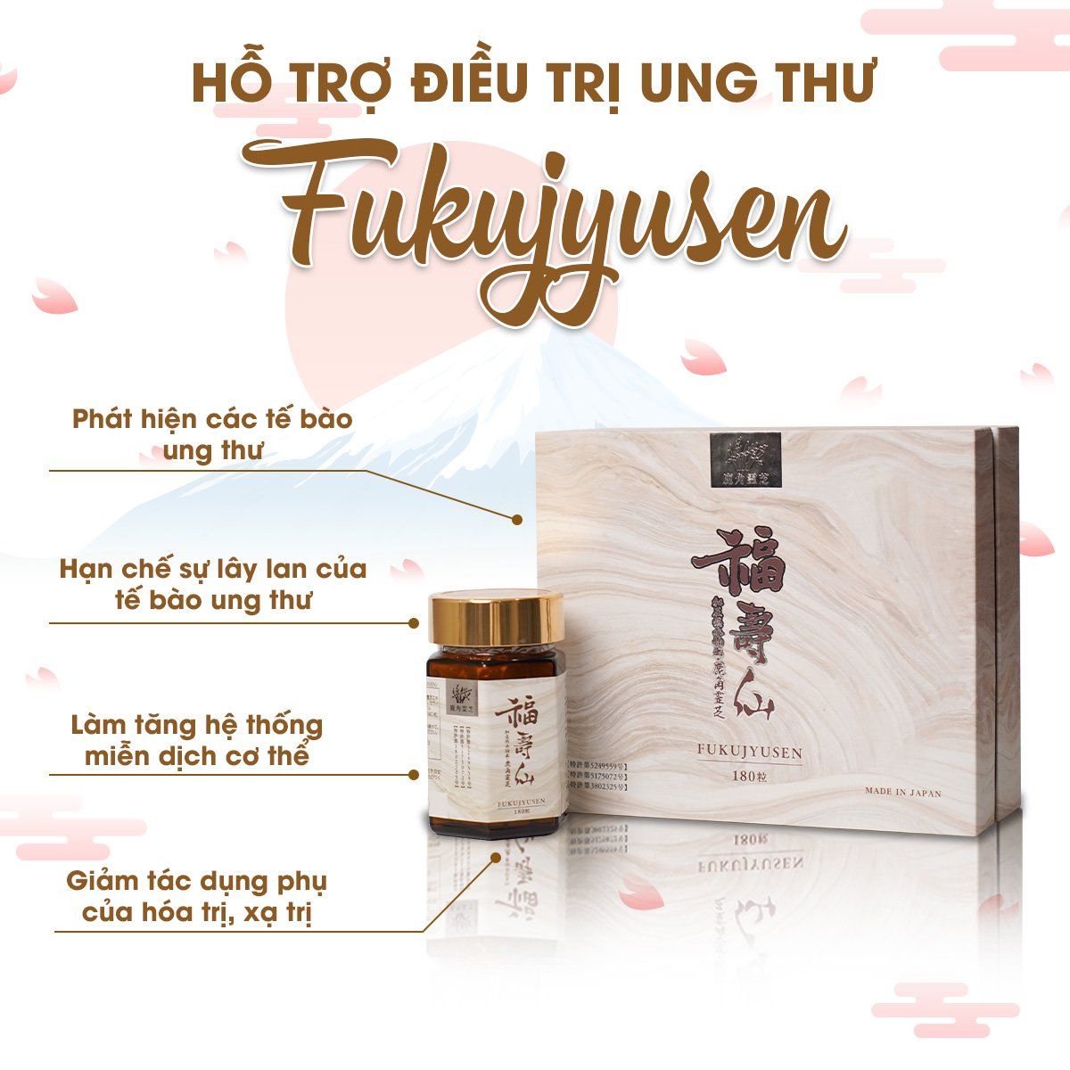Viên uống hỗ trợ điều trị ung thư, tăng cường hệ miễn dịch Ribeto Shoji Fukujyusen (180 viên) - Hình ảnh 4