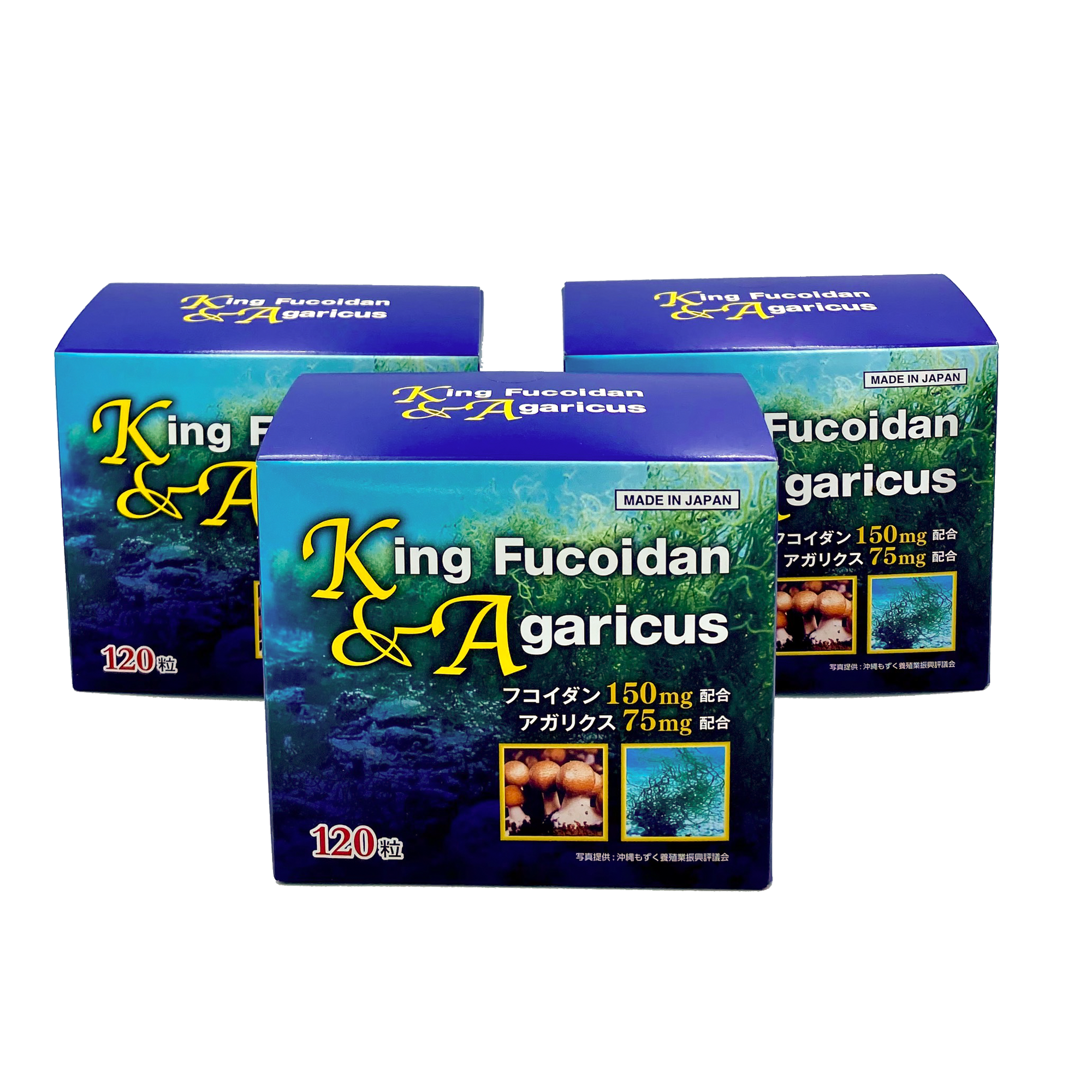 Viên uống phòng và hỗ trợ điều trị ung thư King Fucoidan & Agaricus ( Hộp 120 viên ) - Hình ảnh 4
